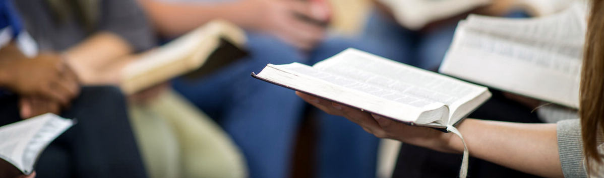 Diverse group of teens studying the Bible.